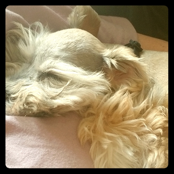 Meet your Posher, Jordan's Mom - Picture 1 of 3